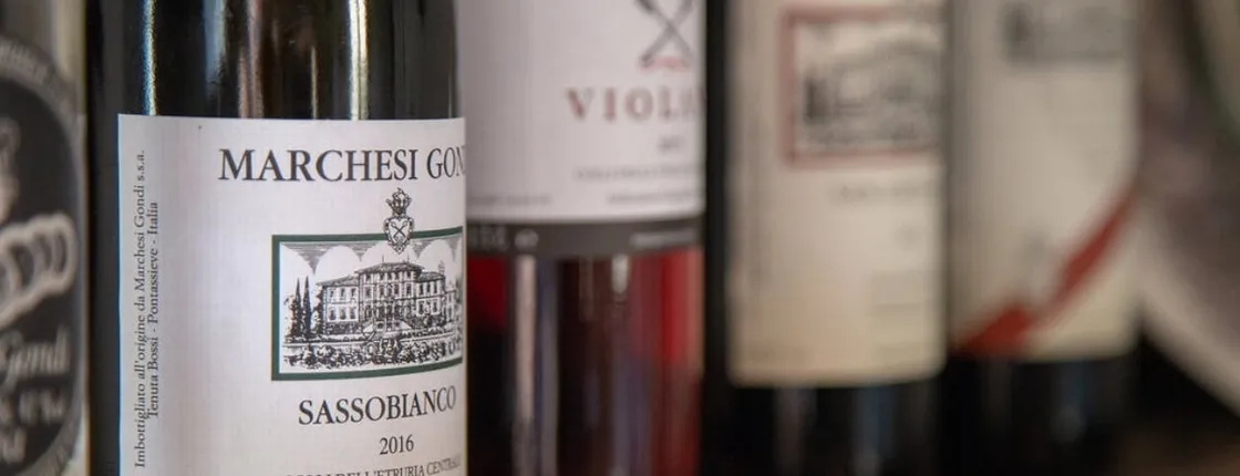 The essence of Chianti Rufina tour with tasting in Renaissance villa
