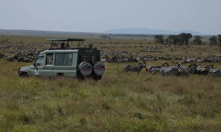 7 Days Private Serengeti Wildebeest Migration Tour