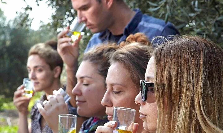 Bio Farm Private Olive Oil Tasting, Farm to Fork Meal & Temple of Poseidon Tour