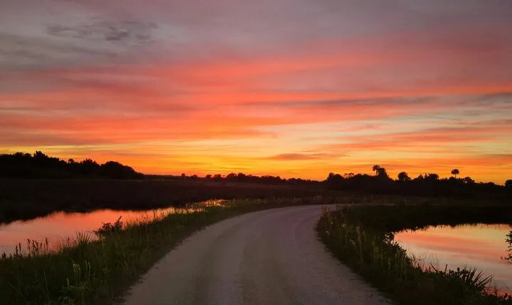 Private Wildlife And Photography Experience