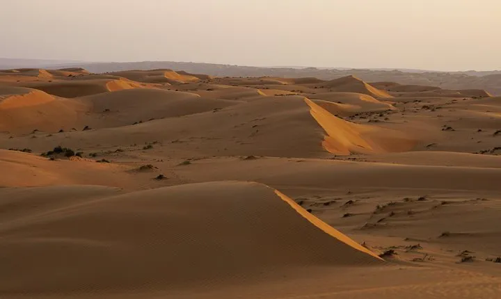 Sharqiyah Desert Safari