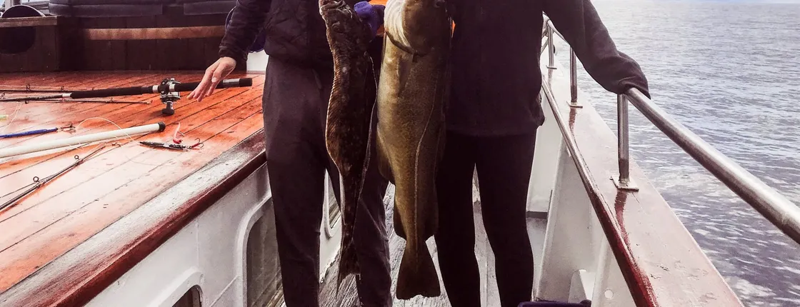 Fishing trip in Lofoten