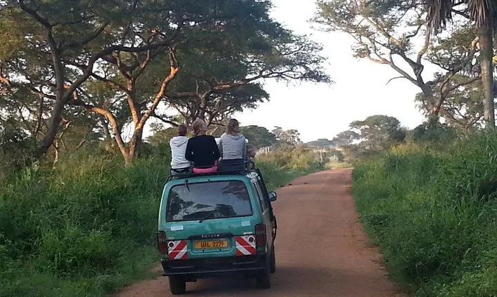 Murchison Falls Day Safari (Game Drive & Falls)