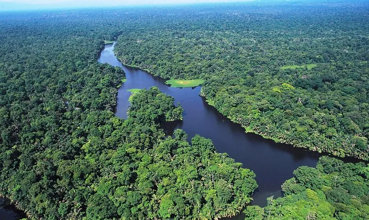 The Authentic Tortuguero National Park One Day Tour