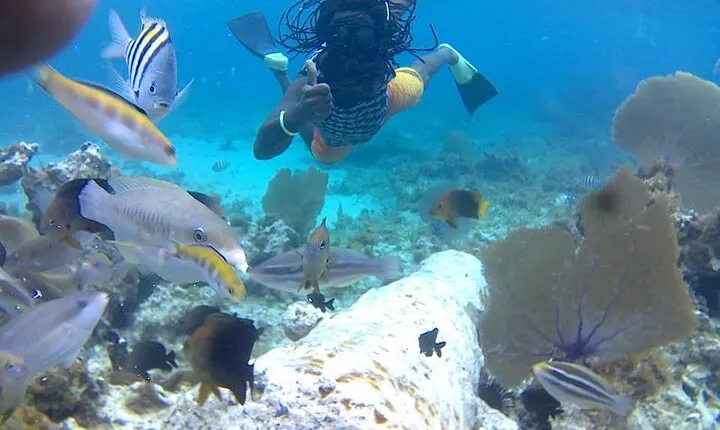 Incredible Negril Guided Snorkeling To Reef, Anchor, and Cannon