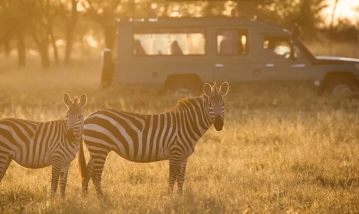 4-Day Serengeti, Ngorongoro, & Lake Manyara Budget Tour