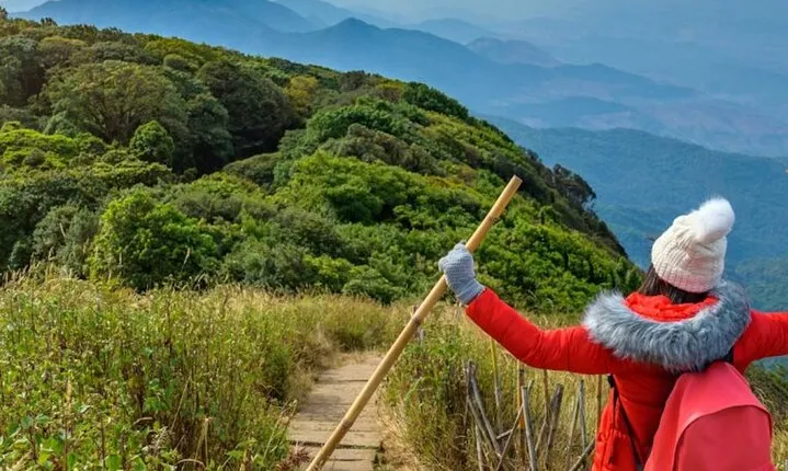 Chiang Mai: Doi Inthanon Full day Tour