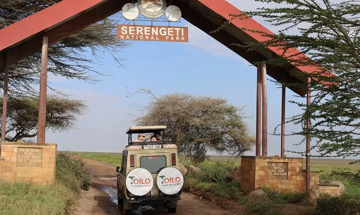 4-Days Group Camping Tour to Tarangire Serengeti Ngorongoro