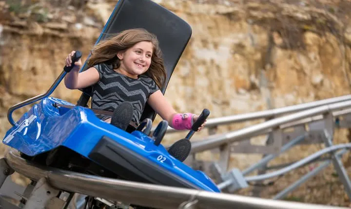 Branson Alpine Mountain Coaster Ticket