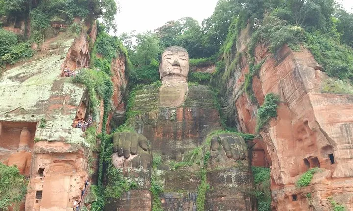 Chengdu Highlights Tour of Panda Base and Leshan Giant Buddha