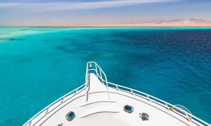 Swim With Dolphins at Sataya Reef from Marsa Alam