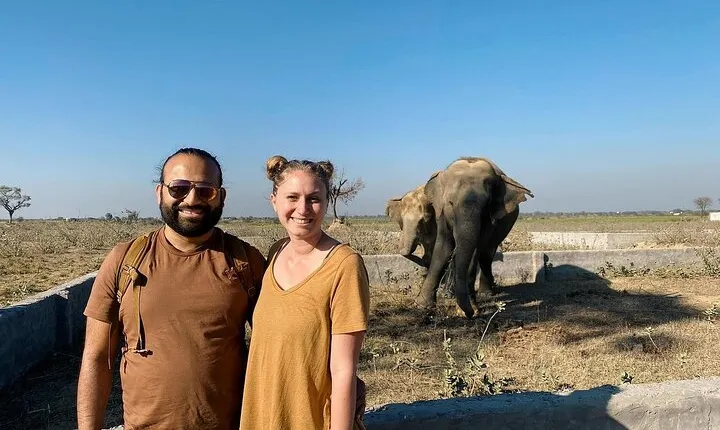 From Agra Private Transfers to Wildlife SOS Elephant Conservation