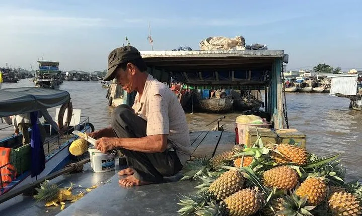 Cai Rang floating market and Mekong Delta Private Tour from HCMC