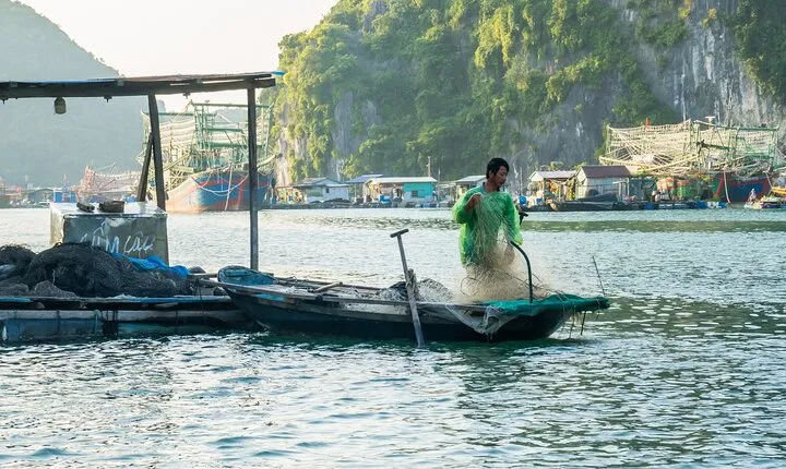 Explore Lan Ha, Halong Bay: Full-Day Boat Tour from Cat Ba Island