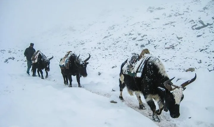 Everest Base Camp Trek