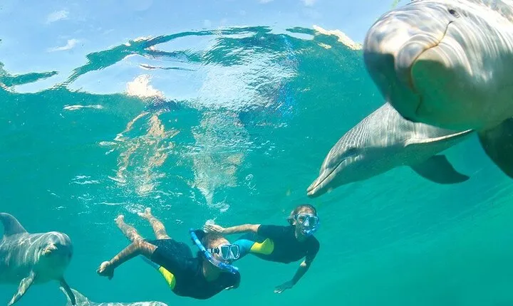 9 Hour Snorkeling Excursion in Safaga