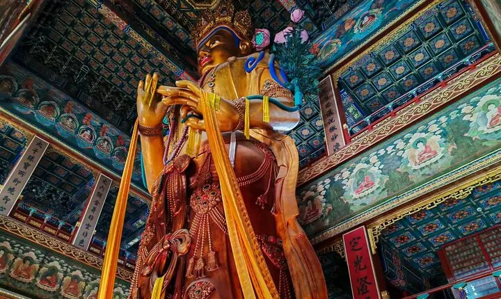 Private Half-Day Temple of Heaven and Lama Temple Tour