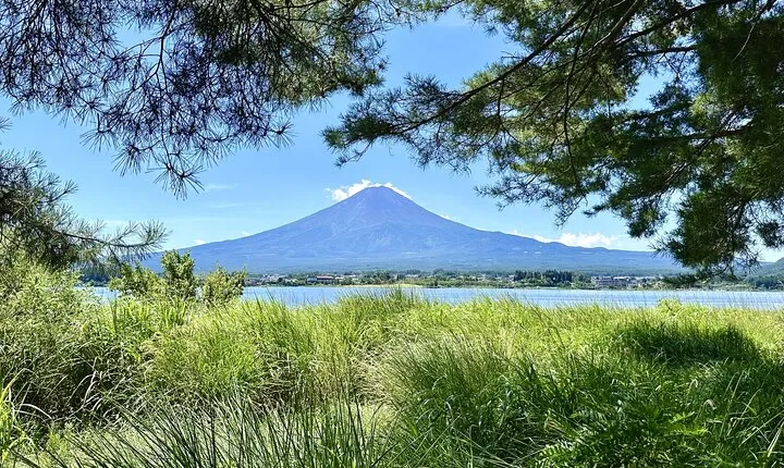 Tokyo: Mt. Fuji, Oshino Hakkai and Gotemba Outlets 1Day Bus Tour