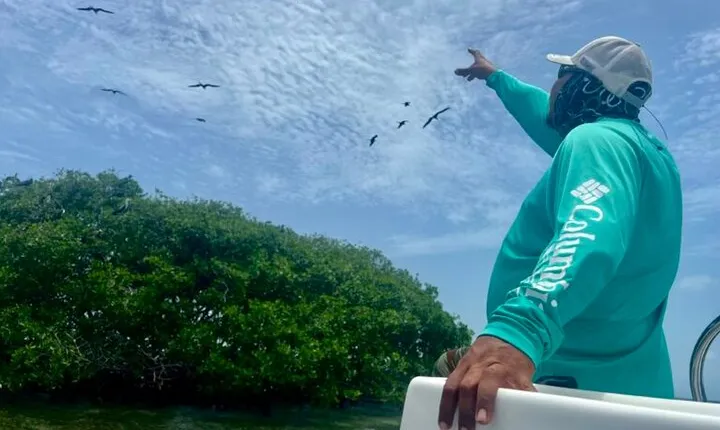 Half Day Reef Snorkel and Wildlife Tour