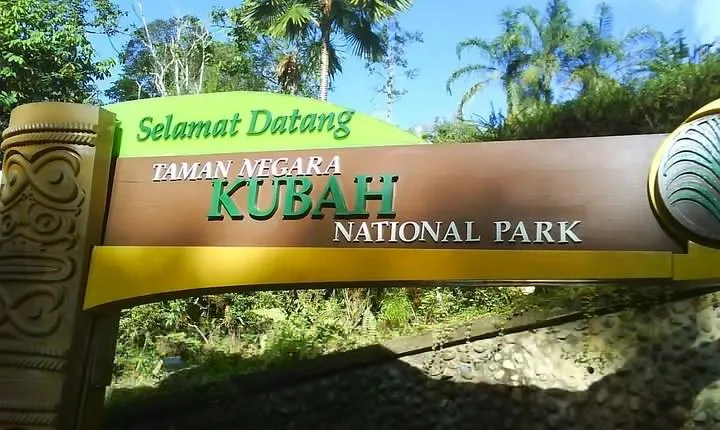 Kubah Night Walk