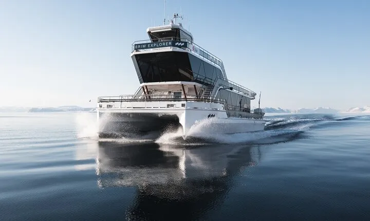 Beiarfjord & Saltstraumen Cruise with Guide