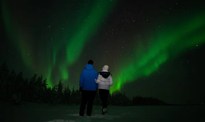 Rovaniemi: Northern Lights Tour