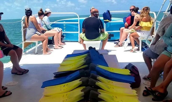 Islamorada: Snorkeling from the Islander Hotel