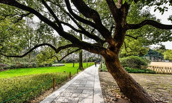 Classic Hangzhou Two-Day Tour Plus Tea Plantation Exploration