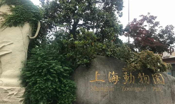 Private Tour of Shanghai Zoo and Cruise on Huangpu River with Dim sum Lunch