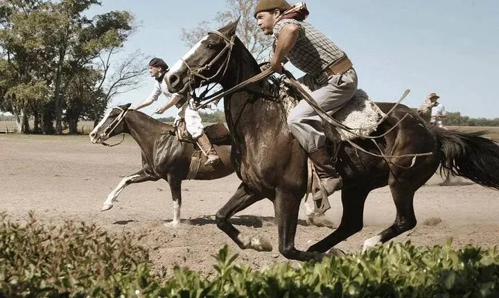 Private Country Day at Estancia Santa Susana
