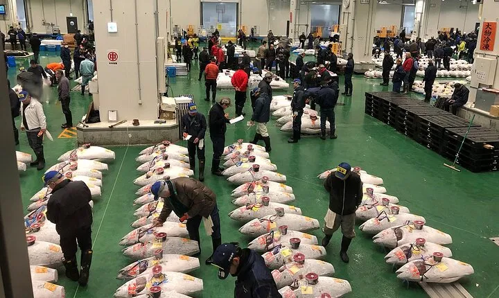 Morning Market Adventure: Toyosu & Tsukiji with Tuna Auction