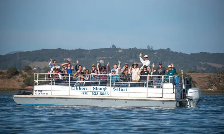 Wildlife Safari Boat Tour in Scenic Monterey Bay Wetland