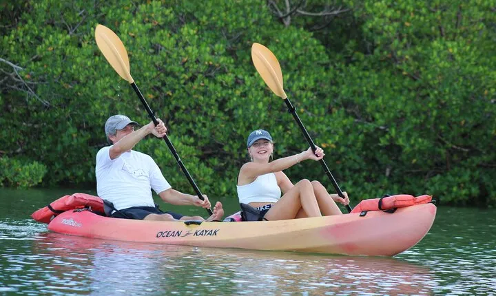 Nauti Exposures - Guided kayak tour through the Mangroves
