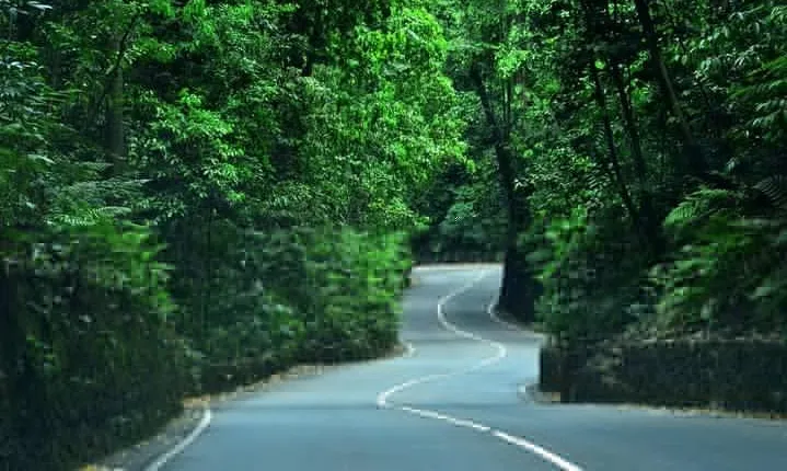 Eco-Tour (Konoko Falls & Fern Gully- from Ocho Rios