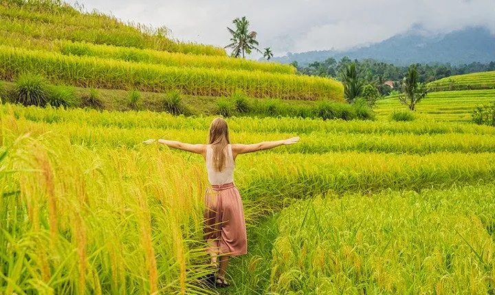 Bali Budget 5 Days, Tours & Air Port Transfers 