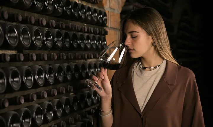 Amarone Wine Experience at Montresor winery
