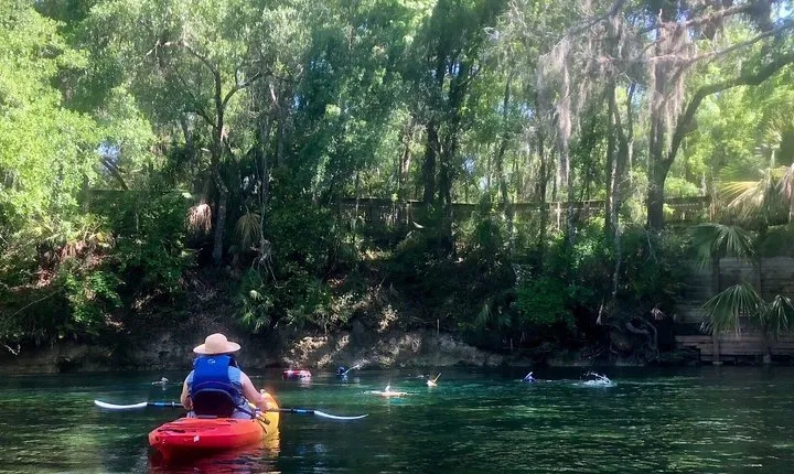 Wekiva River Guided Kayak Tour