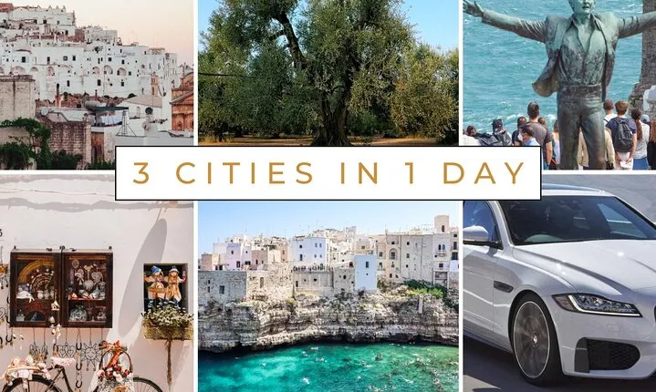 Ostuni, Locorotondo & Polignano: Private or Group Tour