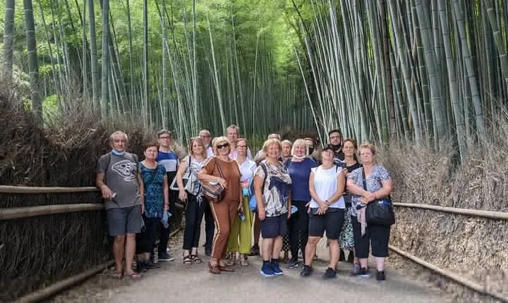 Kyoto: Arashiyama Bamboo, Temple, Matcha, Monkeys & secret spots