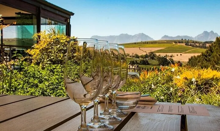  Private Wine Tour of Stellenbosch Franschhoek and Paarl