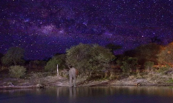 Stargazing on The Wilderness (Harare Night's Tour)
