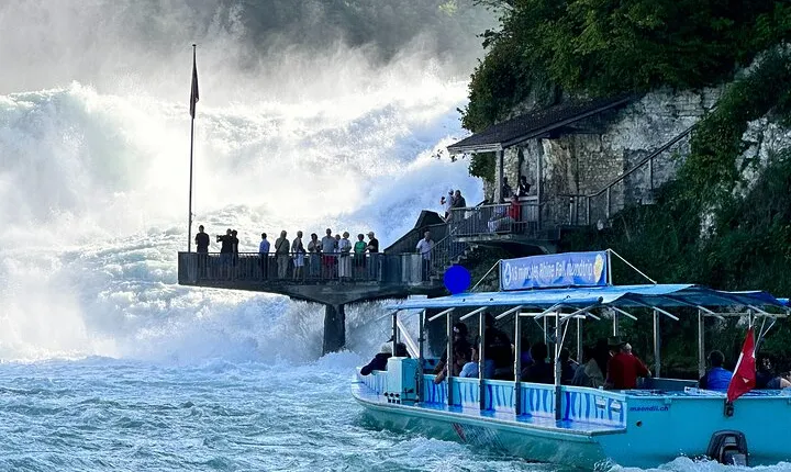 Private Half-Day Tour to the Rhine Falls with Pick-up at Hotel