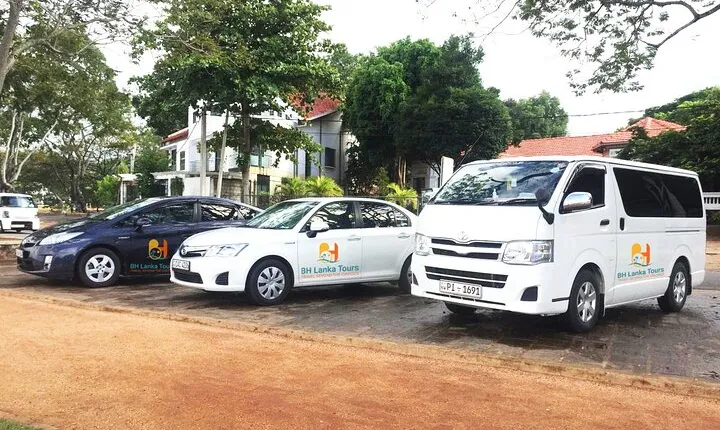 Professional Chauffeur Guide With Modern Vehicles