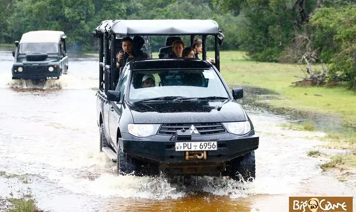Glamping & Safari - Wilpattu National Park