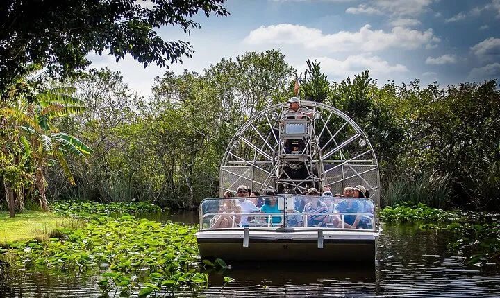 Everglades Airboat Experience – Wildlife & Wetlands