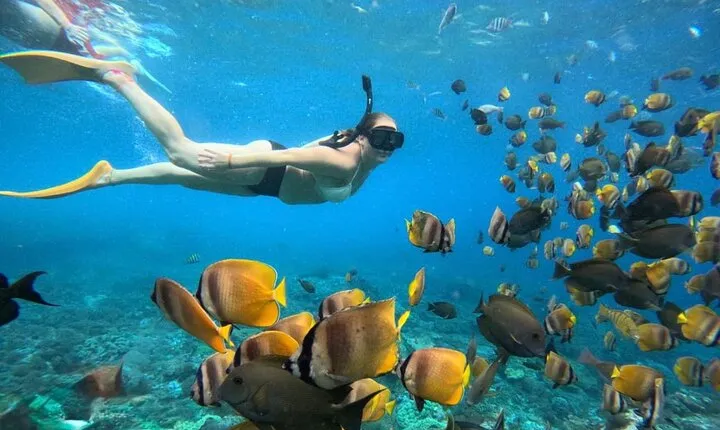 Bali Snorkeling Blue Lagoon 2 spot with Lunch & Transport