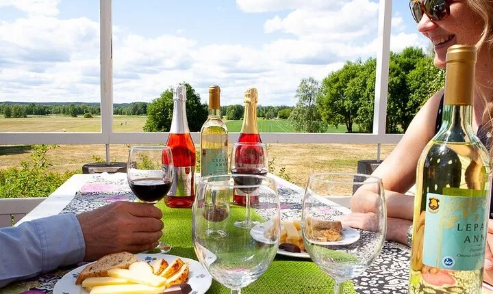 PRIVATE Visit to Authentic Finnish Berry Winery + Tasting 