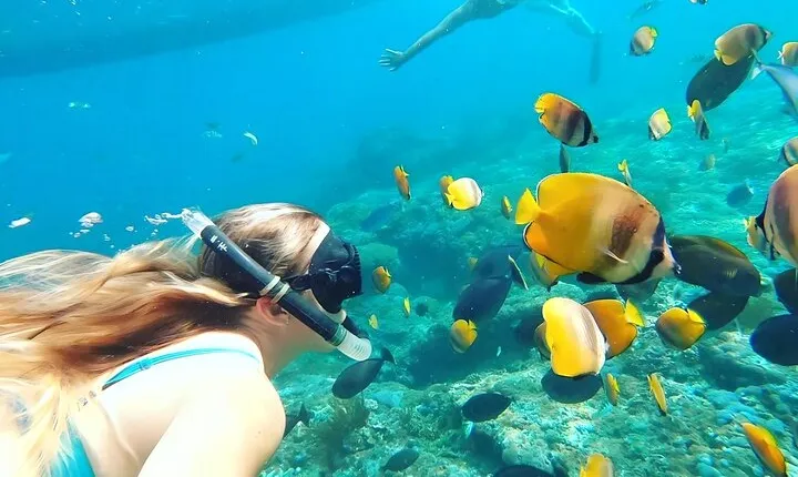 Blue Lagoon Snorkeling Day Tour
