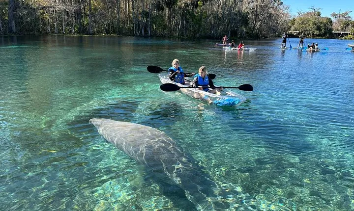 Silver Springs Self Guided Clear Kayak Rentals