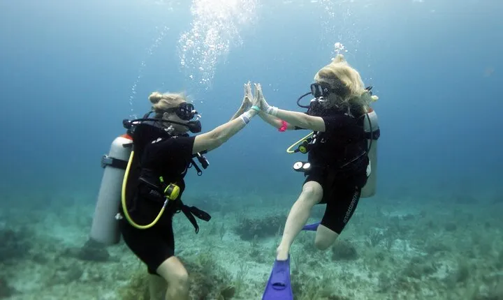 PADI Open Water Diver Course